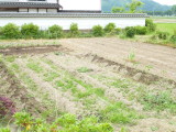 img0009.jpg