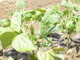 img0005.jpg