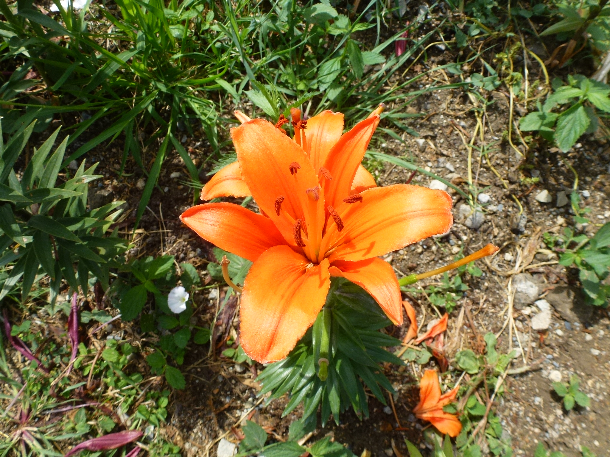 P1110295.JPG