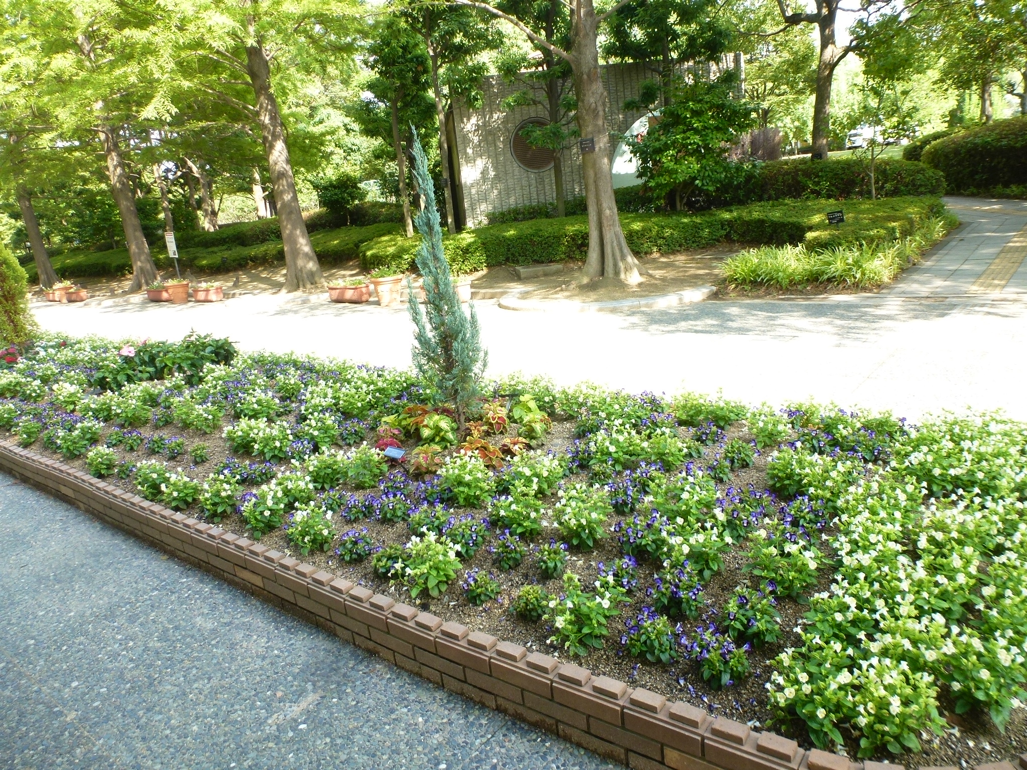 P1110350.JPG