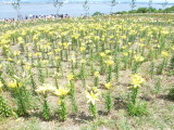 img0004.jpg