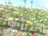img0006.jpg