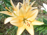 img0012.jpg