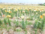 img0013.jpg
