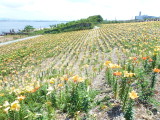 img0021.jpg