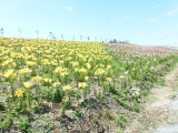 img0024.jpg