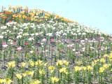 img0025.jpg