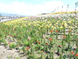 img0026.jpg