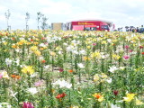 img0027.jpg