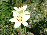 img0030.jpg