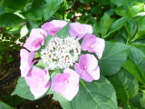 img0058.jpg