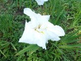 img0059.jpg