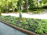 img0065.jpg