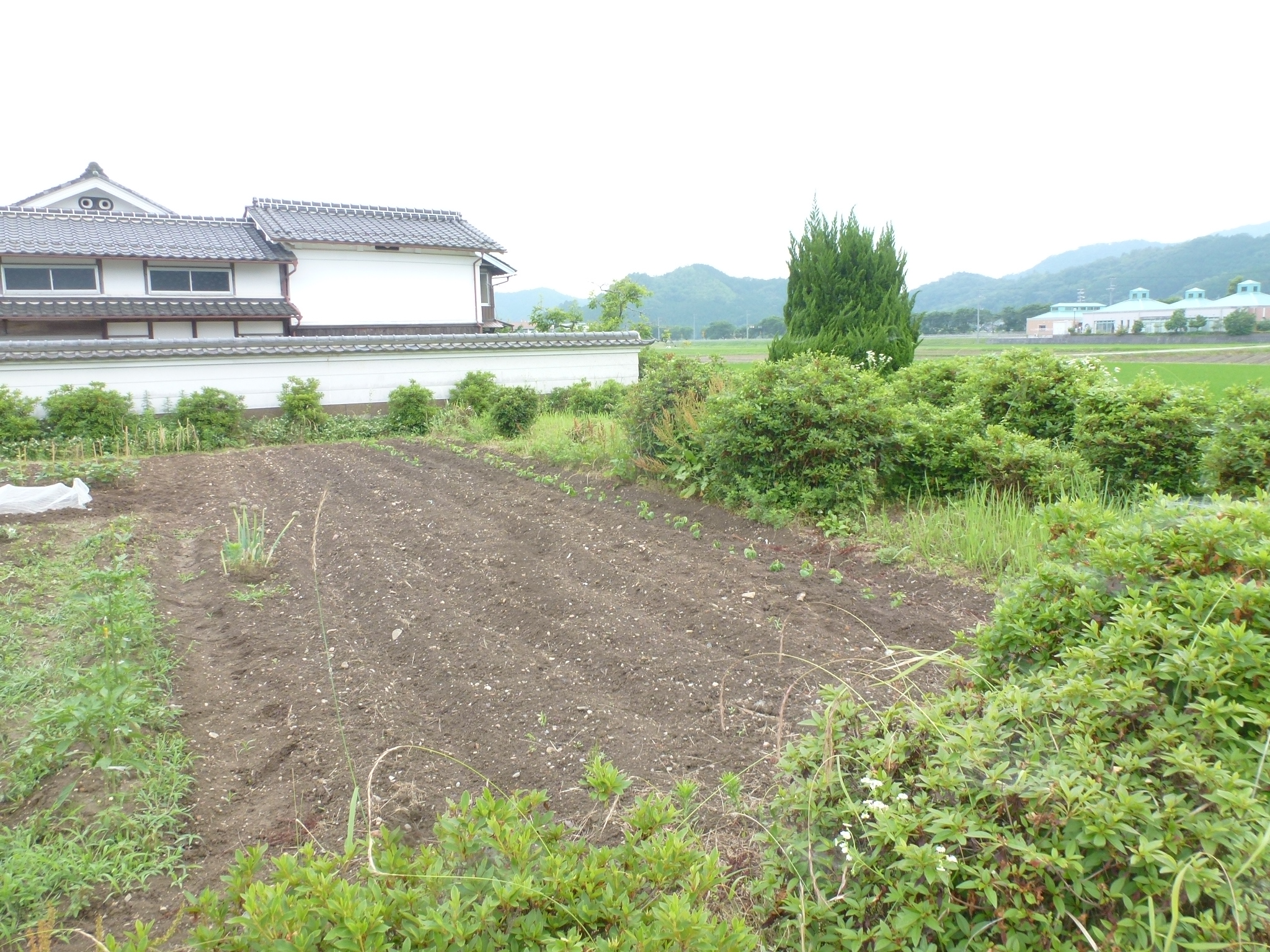 P1110382.JPG