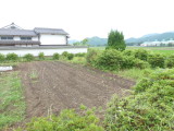 img0013.jpg