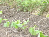 img0015.jpg