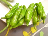 img0020.jpg
