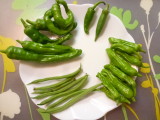 img0024.jpg