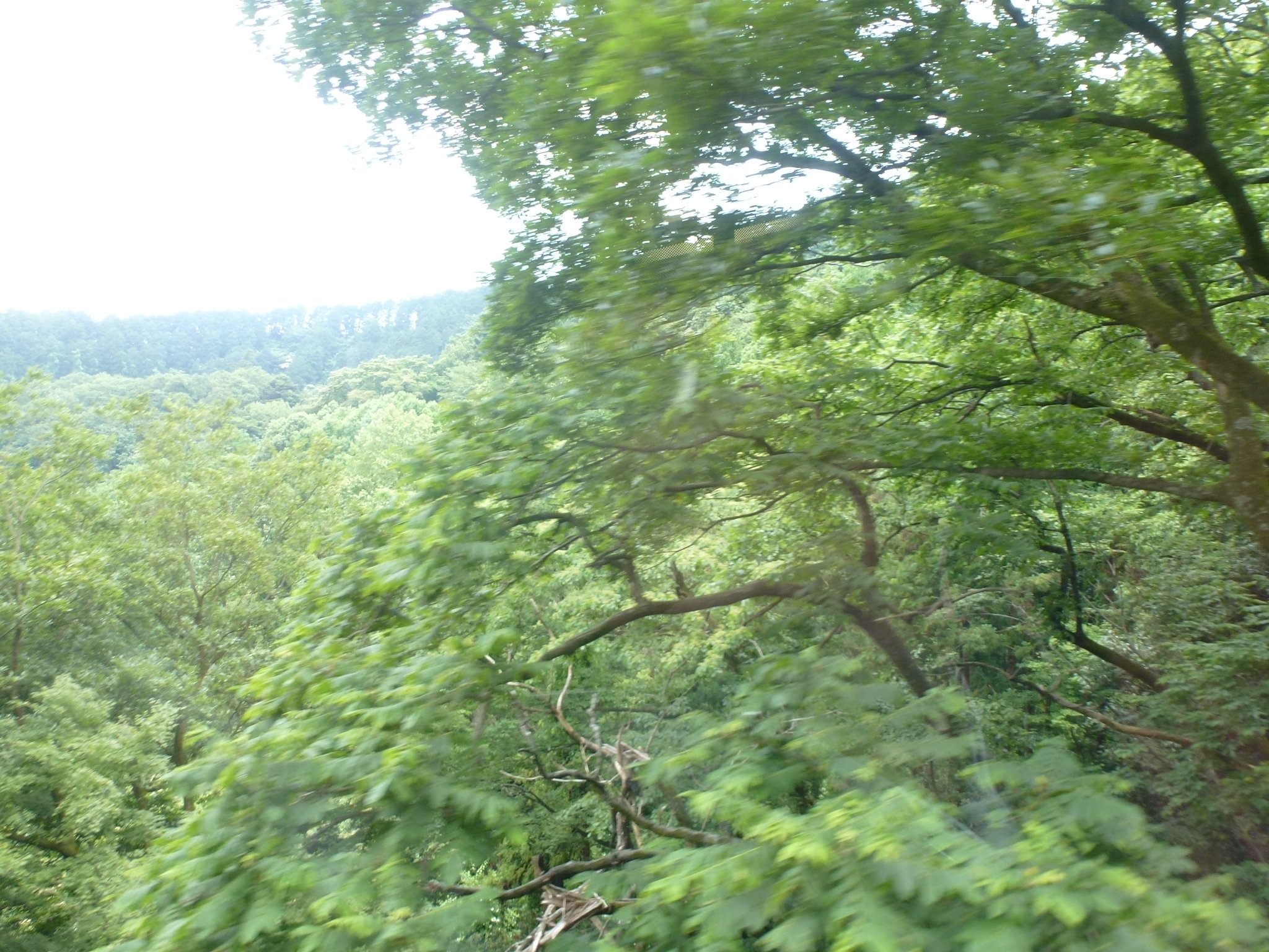 P1110401.JPG