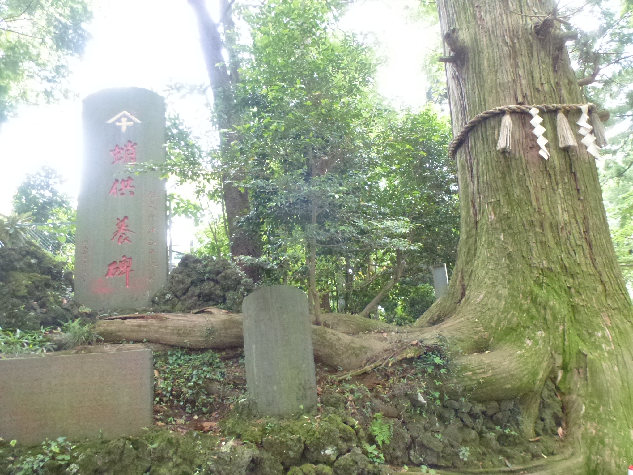P1110407.JPG