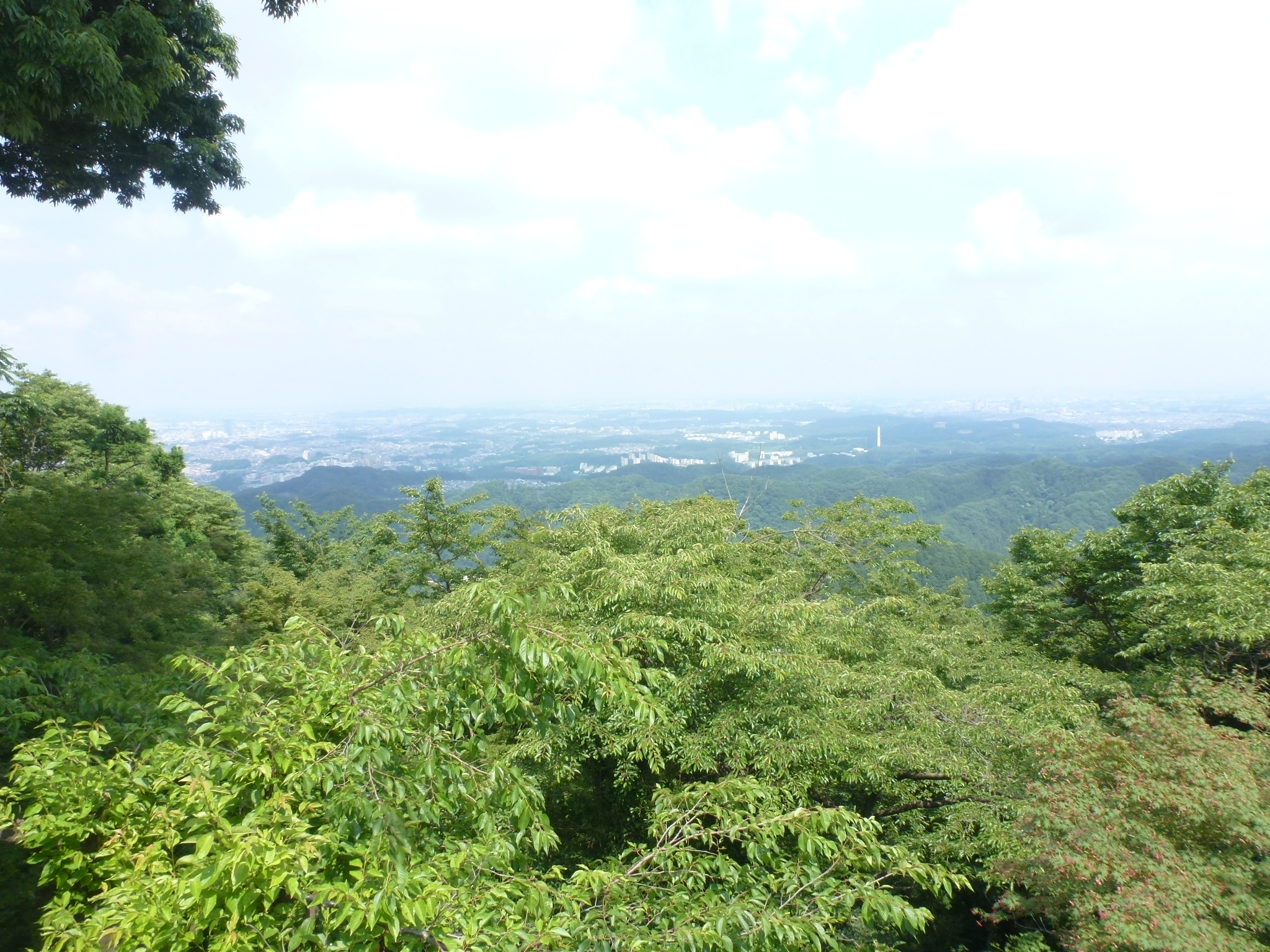 P1110427.JPG