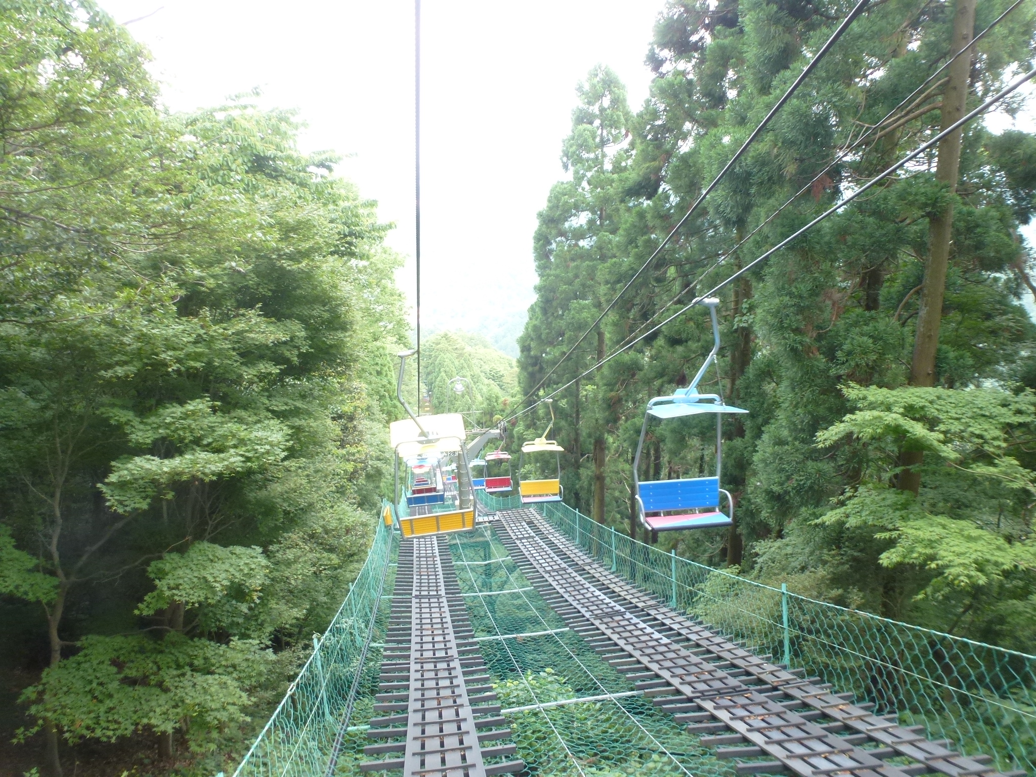 P1110430.JPG