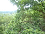 img0004.jpg
