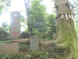 img0010.jpg