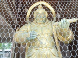 img0017.jpg