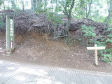img0031.jpg