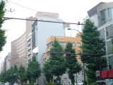 img0036.jpg