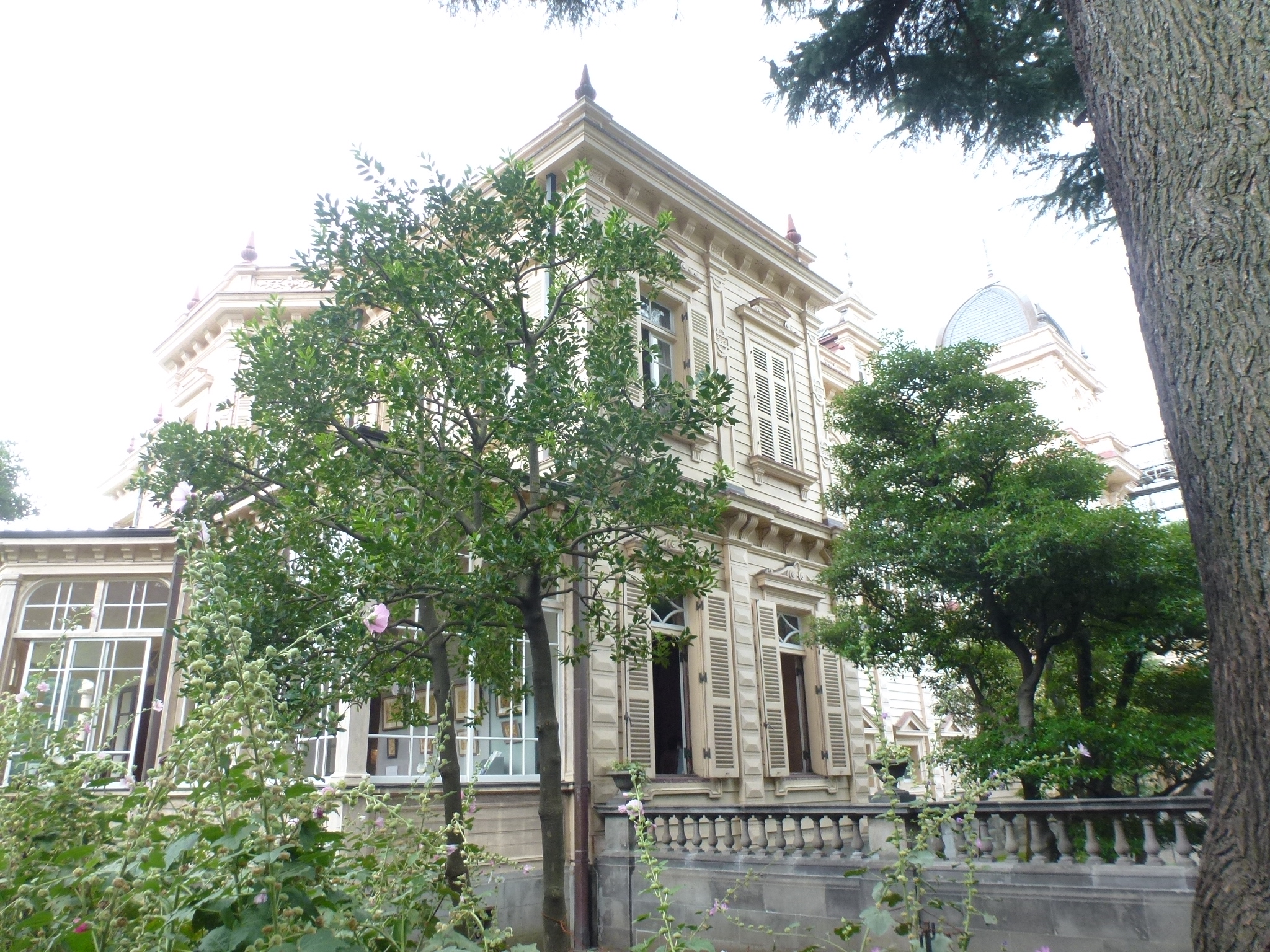 P1110469.JPG