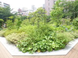 img0010.jpg