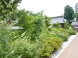 img0011.jpg