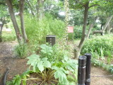 img0022.jpg