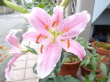 img0001.jpg