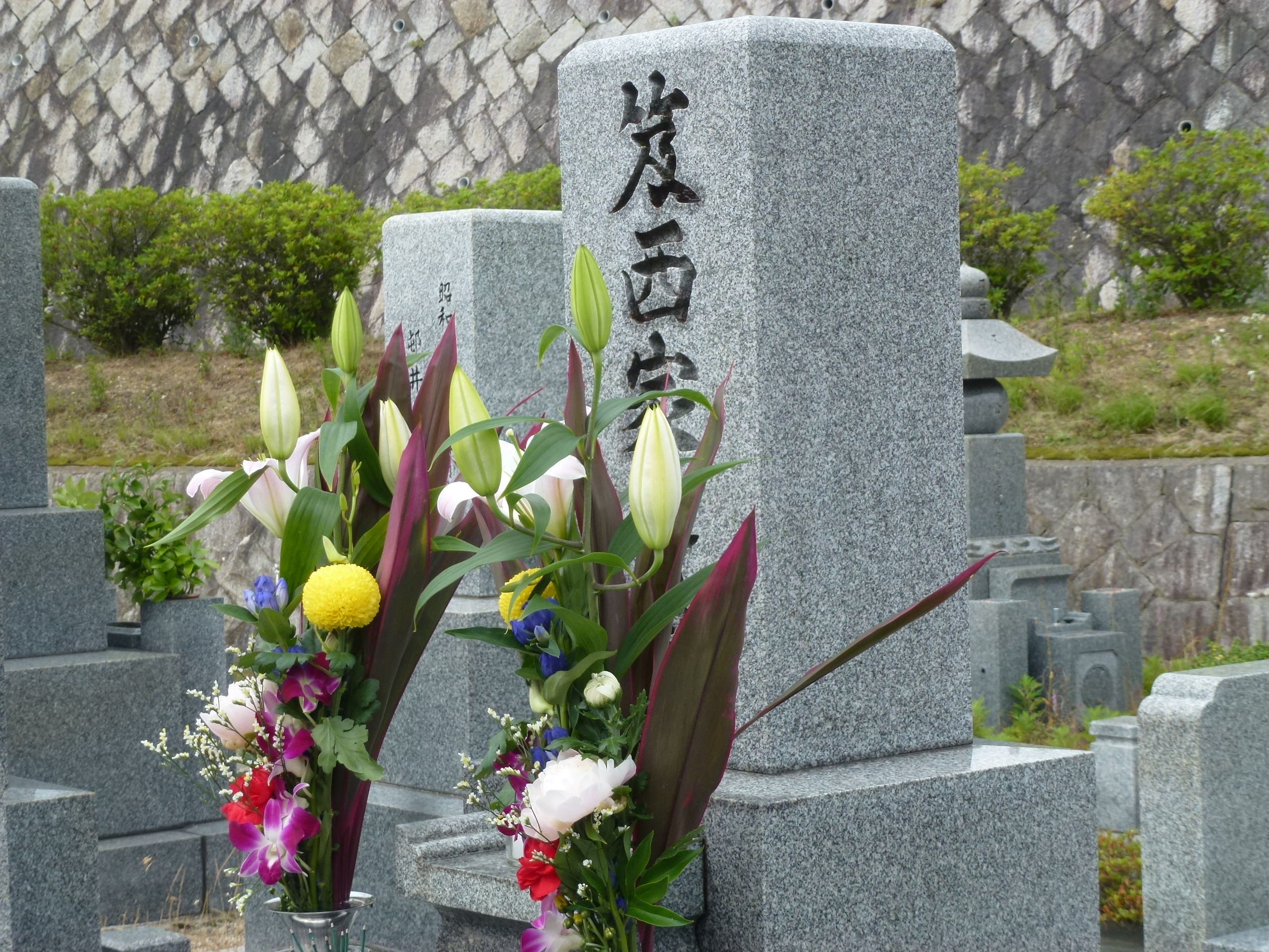 P1110706.JPG