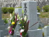 img0005.jpg
