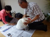 img0007.jpg