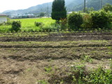 img0007.jpg