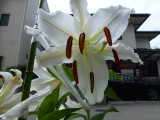 img0002.jpg