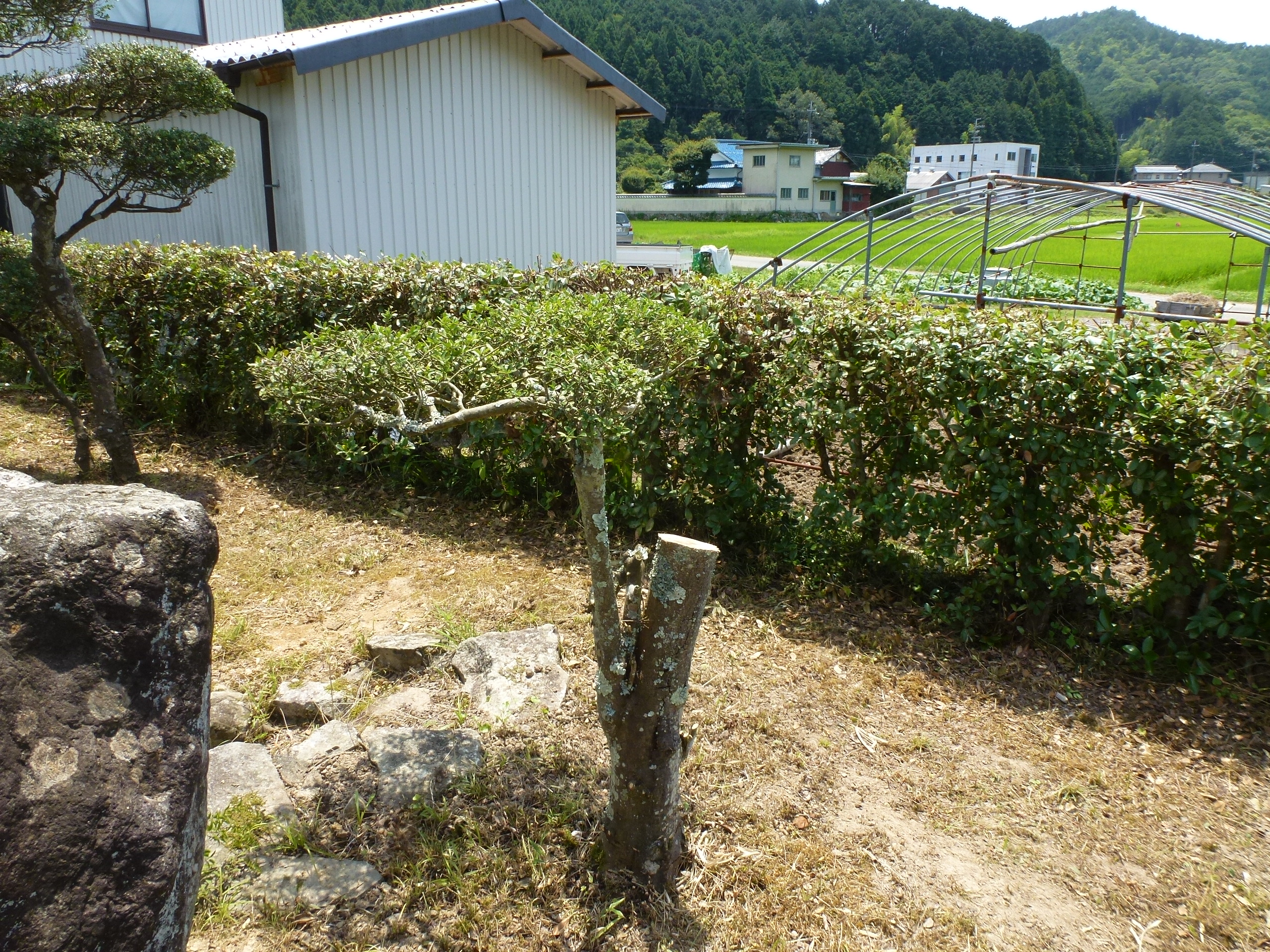 P1110790.JPG