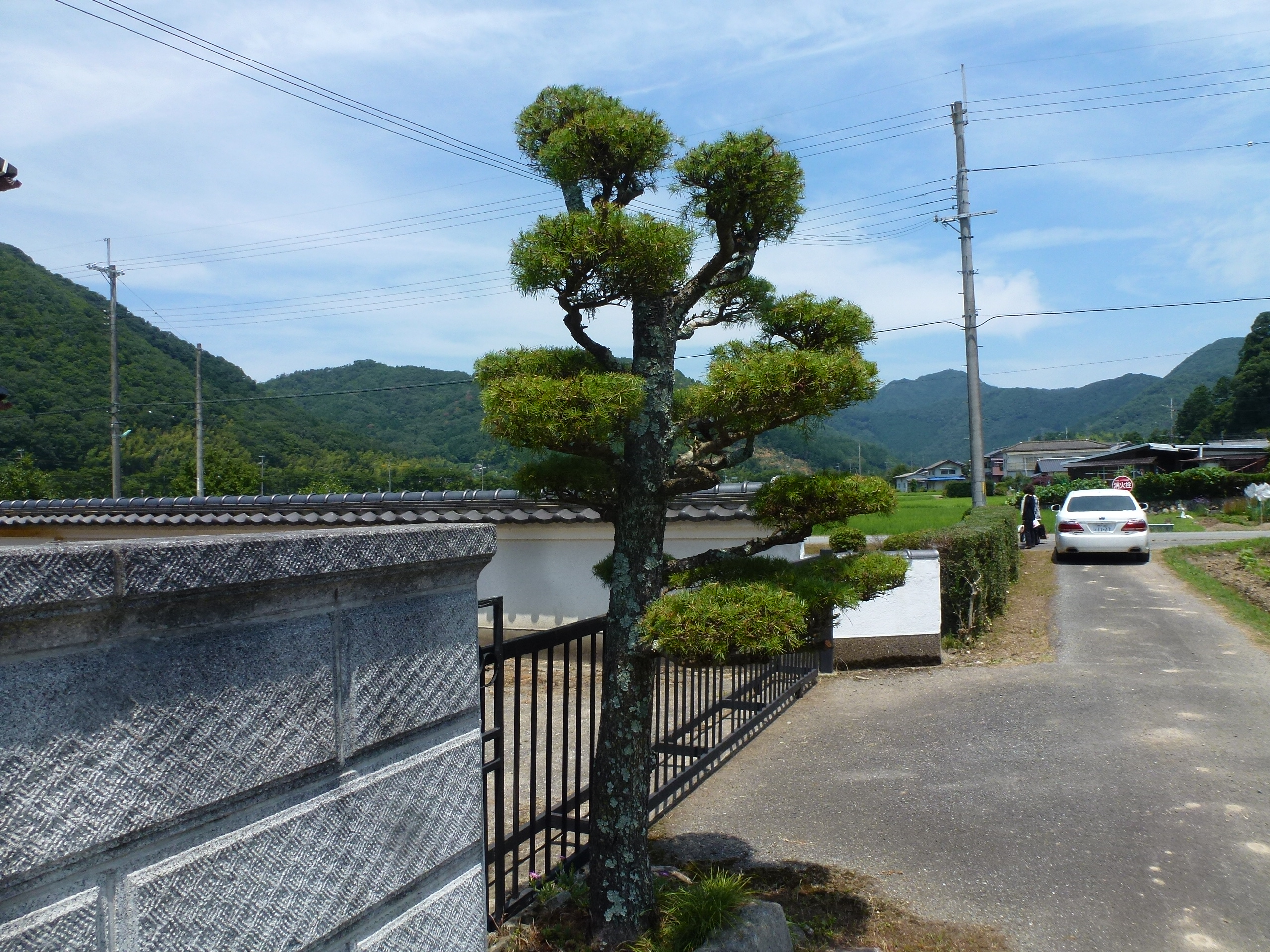 P1110794.JPG