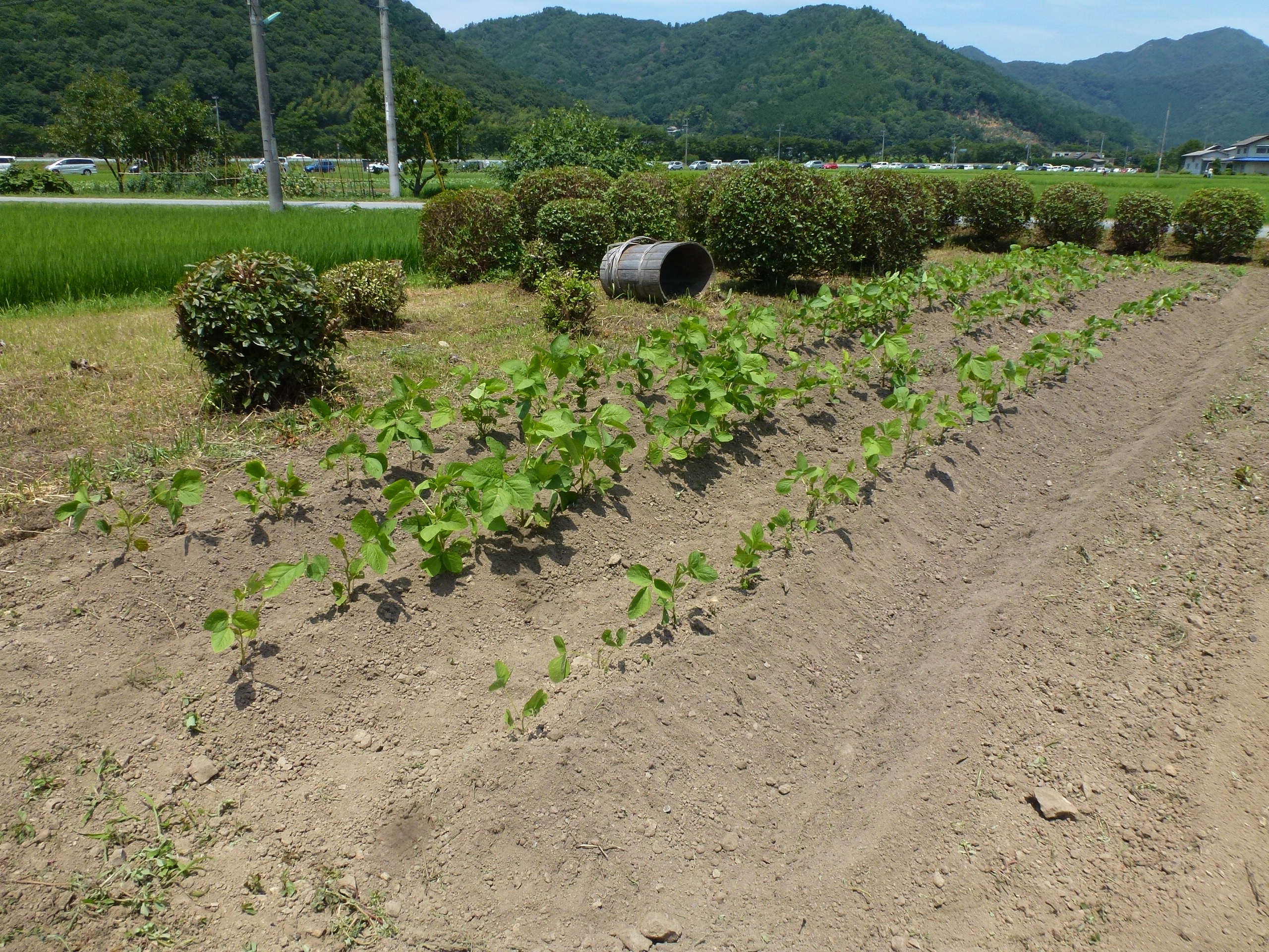 P1110795.JPG