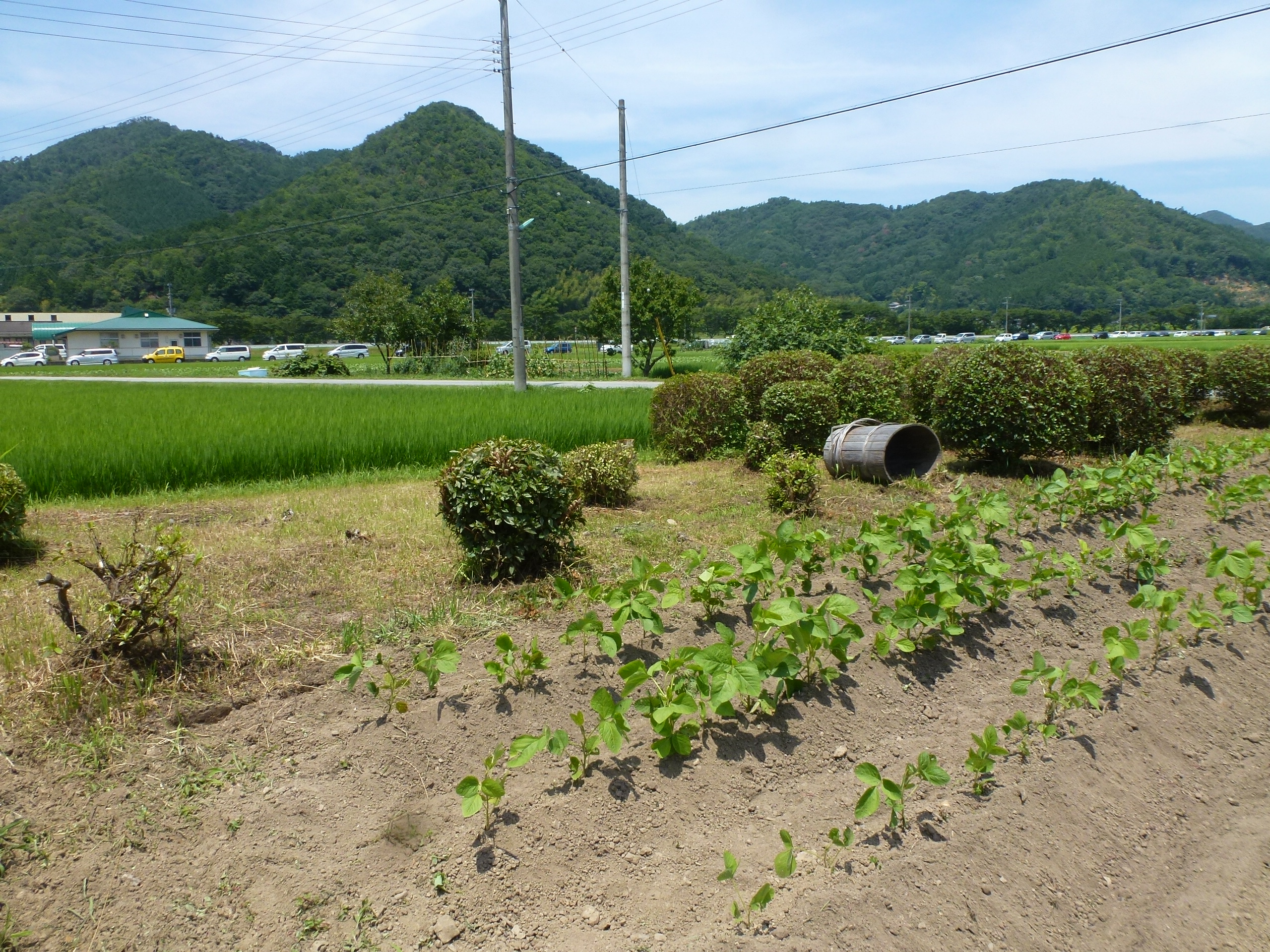 P1110796.JPG