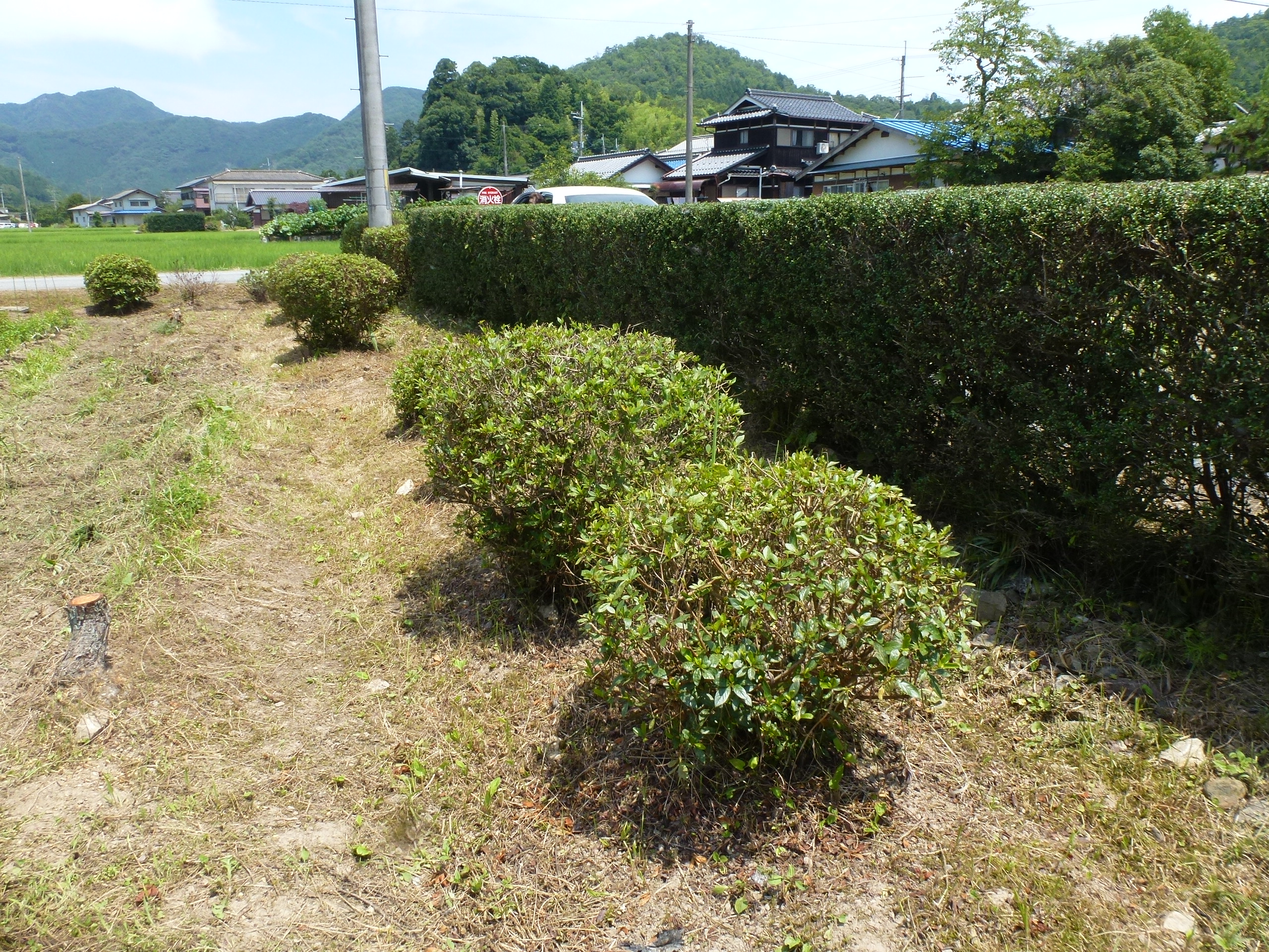 P1110797.JPG