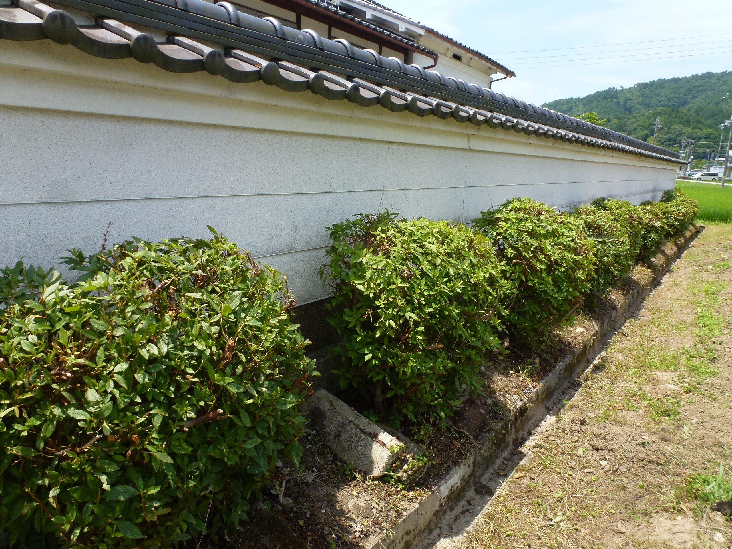 P1110798.JPG