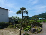 img0003.jpg