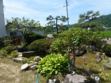 img0004.jpg