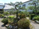 img0006.jpg